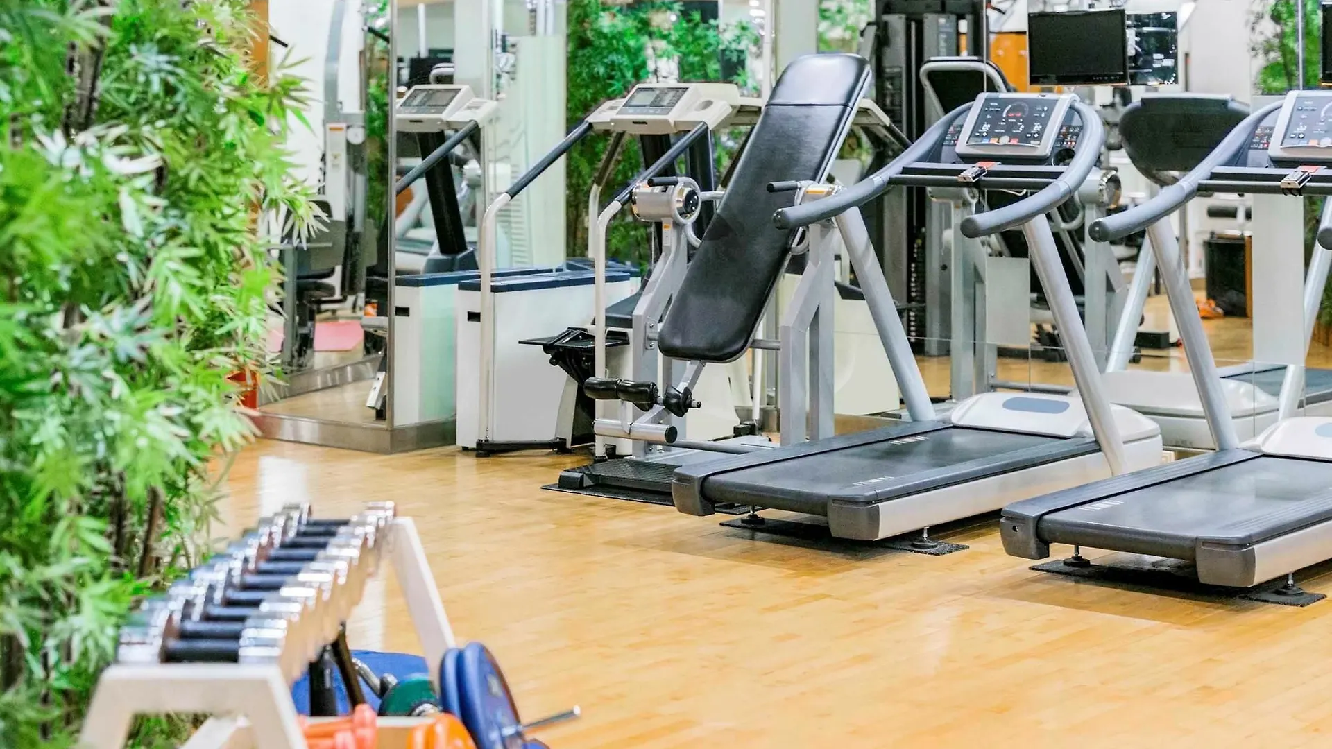Hotel Ibis Styles Ambassador Seoul Gangnam